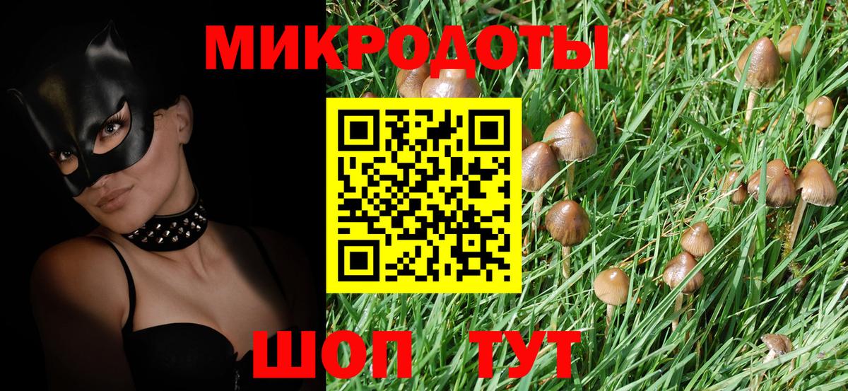 Псилоцибиновые грибы Psilocybe Полевской