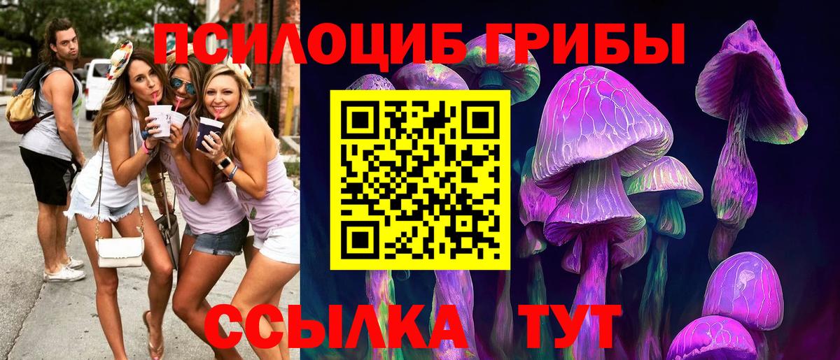 Псилоцибиновые грибы Psilocybine cubensis  Вход с VPN  Полевской 