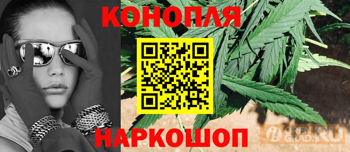 Марихуана сатива Полевской